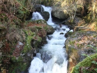 Ruta: fervenza Pozo do Inferno (Crecente)